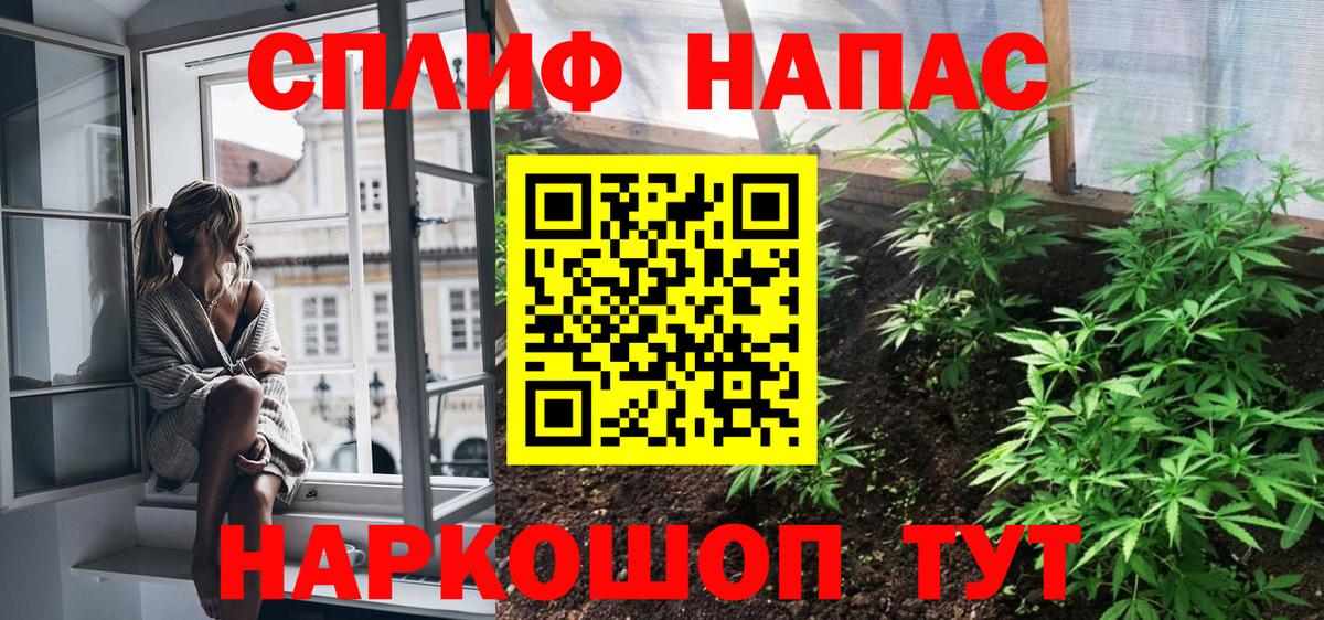 Каннабис гибрид  МАРИХУАНА THC 21%  Марихуана OG Kush  Долгопрудный  Каннабис семена  Вход с VPN 